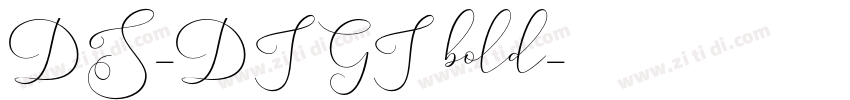 DS-DIGI bold字体转换